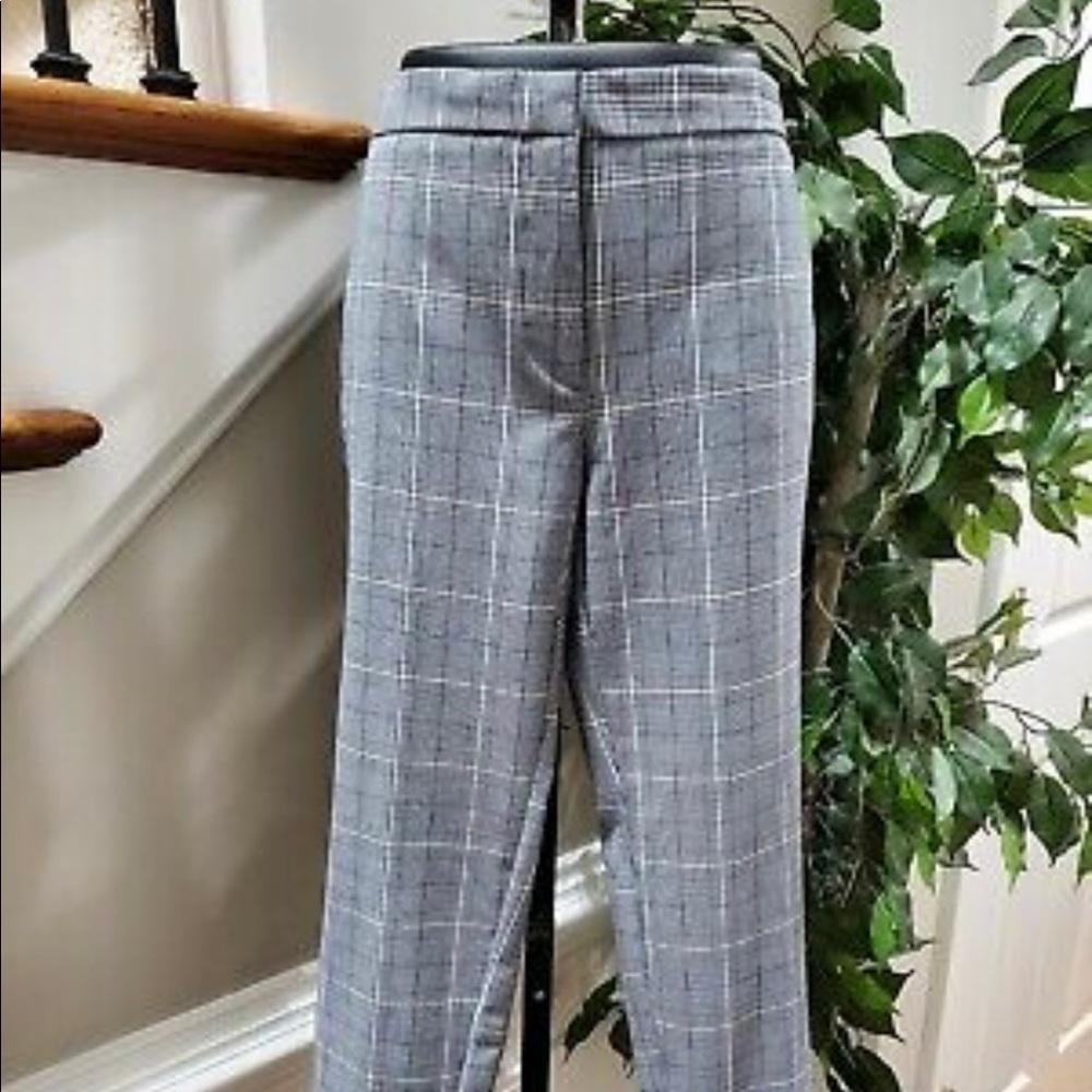 Zara Basic Women’s gray lining polyester skinny crop pull on dress pants.